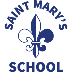 STM-SCHOOL-Logo_WEB